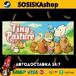 Tiny Pasture + ВЫБОР РЕГИОНА STEAM
