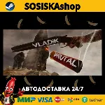 VLADiK BRUTAL + ВЫБОР РЕГИОНА STEAM