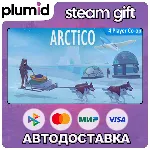 Arctico Steam Gift / Россия + МИР / АВТО - irongamers.ru