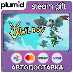 Owlboy Steam Gift / Россия + МИР / АВТО