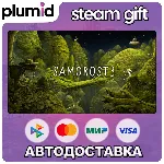 Samorost 3 Steam Gift / Россия + МИР / АВТО - irongamers.ru