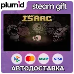 Binding of Isaac Bundle Steam Gift / Россия + МИР / АВТО - irongamers.ru