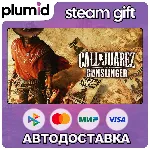 Call of Juarez: Gunslinger Steam Gift / Россия + МИР / АВТО