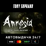 Amnesia: The Dark Descent STEAM GIFT - irongamers.ru