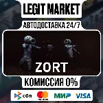 Zort / Steam АВТО / РУ + МИР - irongamers.ru