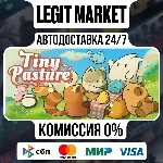 Tiny Pasture / Steam АВТО / РУ + МИР