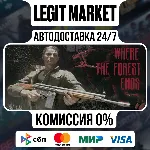 Where the forest ends / Steam АВТО / РУ + МИР - irongamers.ru