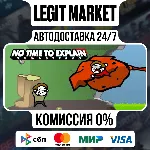 No Time To Explain Remastered / Steam АВТО / РУ + МИР