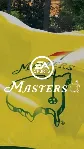Origin Tiger Woods PGA Tour 12: the Masters аккаунт+почта - irongamers.ru