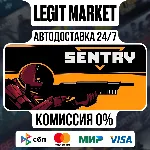 SENTRY / Steam АВТО / РУ + МИР