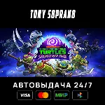 Teenage Mutant Ninja Turtles: Splintered Fate STEAM GIFT - irongamers.ru