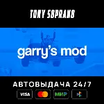 Garry&acute;s Mod STEAM GIFT - irongamers.ru