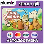 Tiny Pasture Steam Gift / Россия + МИР / АВТО