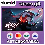Shady Knight Steam Gift / Россия + МИР / АВТО