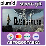 Overgrowth Steam Gift / МИР / АВТО