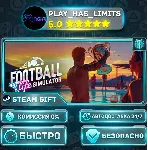 🎁 Football Life Simulator *RU/BY/UA/СНГ Steam Auto