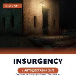 Insurgency (Steam Gift) · РФ и весь мир · Автодоставка 24/7