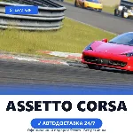 Assetto Corsa (Steam Gift) · РФ и весь мир · Автодоставка 24/7 - irongamers.ru