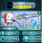 🎁 Moldwasher *RU/BY/UA/СНГ Steam Auto