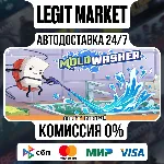 Moldwasher / Steam АВТО / РУ + МИР