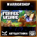 Forage Wizard Выбор Региона Стим STEAM GIFT АВТО 24/7 ГАРАНТИЯ
