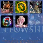 FELLOWSHIP Твич Дропсы 5 предметов + - irongamers.ru