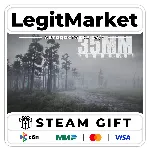 35MM / Steam АВТО / РУ + МИР - irongamers.ru