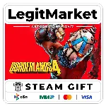 Borderlands 4 / Steam АВТО / МИР