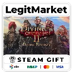 Divinity: Original Sin 2 Divine Edition / Steam АВТО РУ+МИР - irongamers.ru