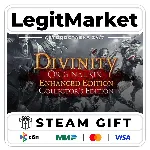 Divinity: Original Sin Enhanced Edition - Collector's Edition / Steam АВТО / РУ + МИР