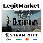 Overgrowth / Steam АВТО / МИР
