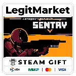 SENTRY / Steam АВТО / РУ + МИР