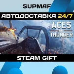 Aces of Thunder - Deluxe Edition | STEAM GIFT | RU・KZ・UA・BY・CIS - irongamers.ru