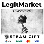 Ad Infinitum / Steam АВТО / РУ + МИР