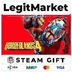 Borderlands 4 / Steam АВТО / МИР