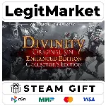 Divinity: Original Sin Enhanced Edition - Collector's Edition / Steam АВТО / РУ + МИР