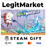 Moldwasher / Steam АВТО / РУ + МИР