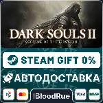 DARK SOULS II: Scholar of the First Sin⚡ ️+ВЫБОР🎁 STEAM