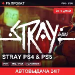 🟣 Stray PS4 & PS5 (PS4/PS5/RU) Аренда от 5 дней