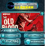 🎁 Wolfenstein: The Old Blood *RU/BY/UA/СНГ Steam Auto