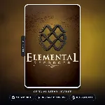 Elemental: Reforged (Steam Gift) · РФ и весь мир · Автодоставка 24/7