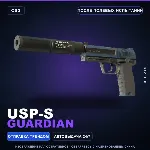 USP-S | Guardian | После полевых испытаний · Скин Counter-Strike 2