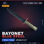 ★ StatTrak™ Bayonet | Blue Steel | После полевых испытаний · Скин Counter-Strike 2