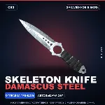 ★ Skeleton Knife | Damascus Steel | Закалённое в боях · Скин Counter-Strike 2