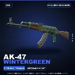 AK-47 | Wintergreen | Закалённое в боях · Скин Counter-Strike 2