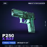 P250 | X-Ray | Немного поношенное · Скин Counter-Strike 2