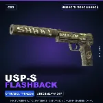 USP-S | Flashback | Немного поношенное · Скин Counter-Strike 2