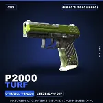 P2000 | Turf | Немного поношенное · Скин Counter-Strike 2