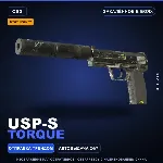 StatTrak™ USP-S | Torque | Закалённое в боях · Скин Counter-Strike 2
