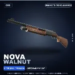 Nova | Walnut | Немного поношенное · Скин Counter-Strike 2